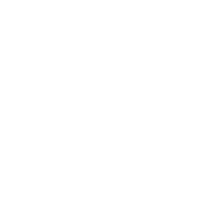 vireya bsd city